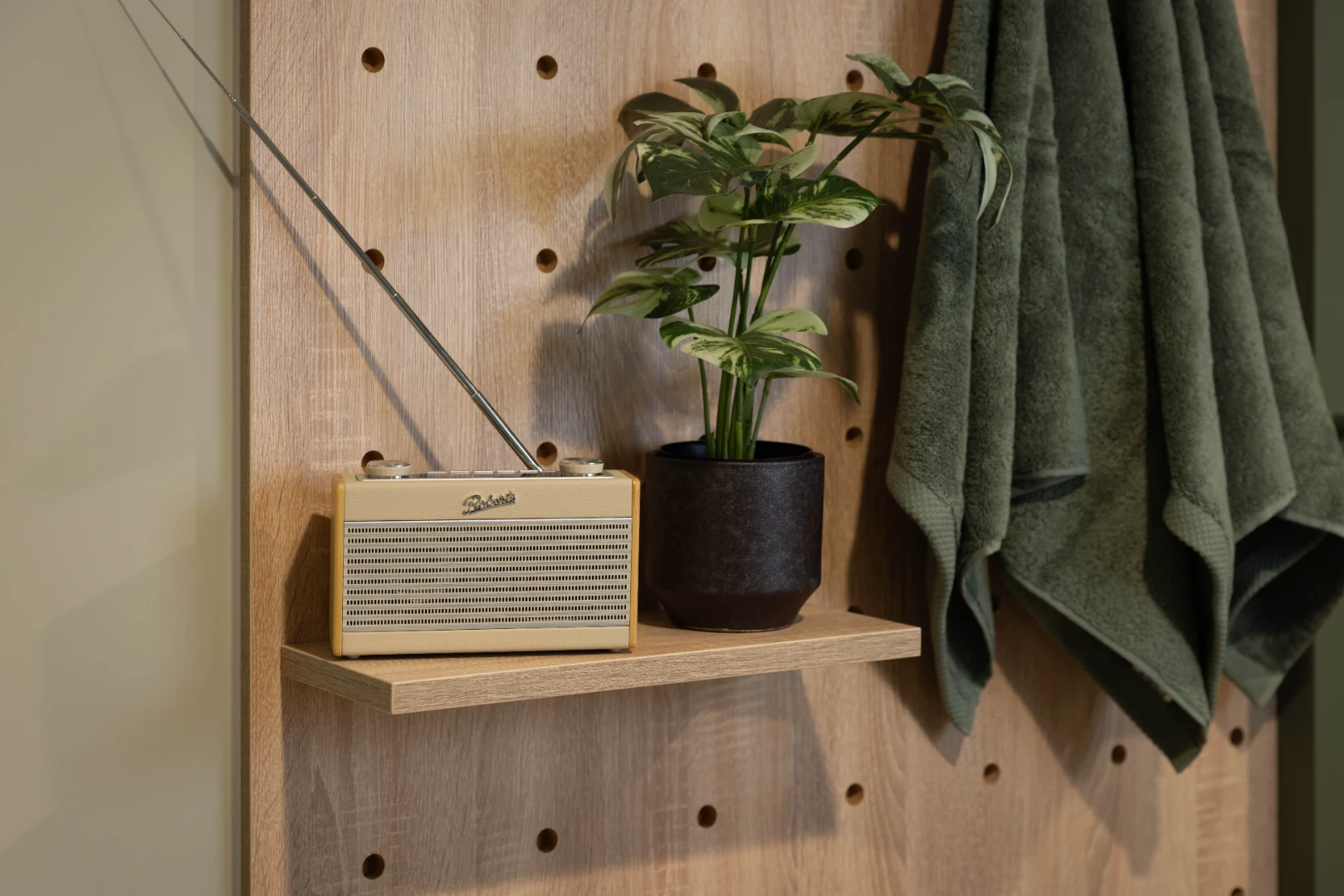 Roomy 1 Studio - image 12