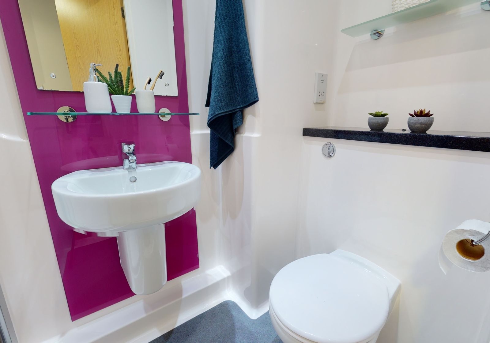 Silver En Suite Plus - image 7