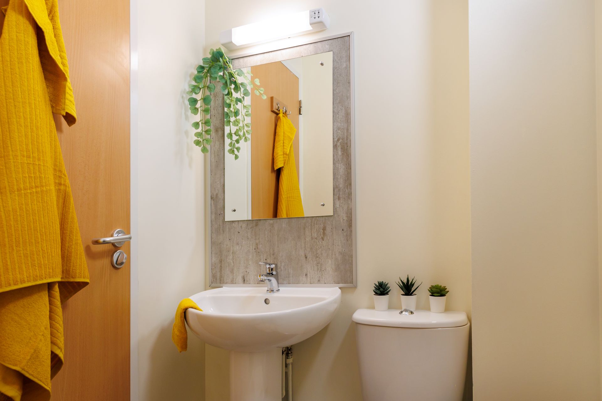 Silver Ensuite - image 13