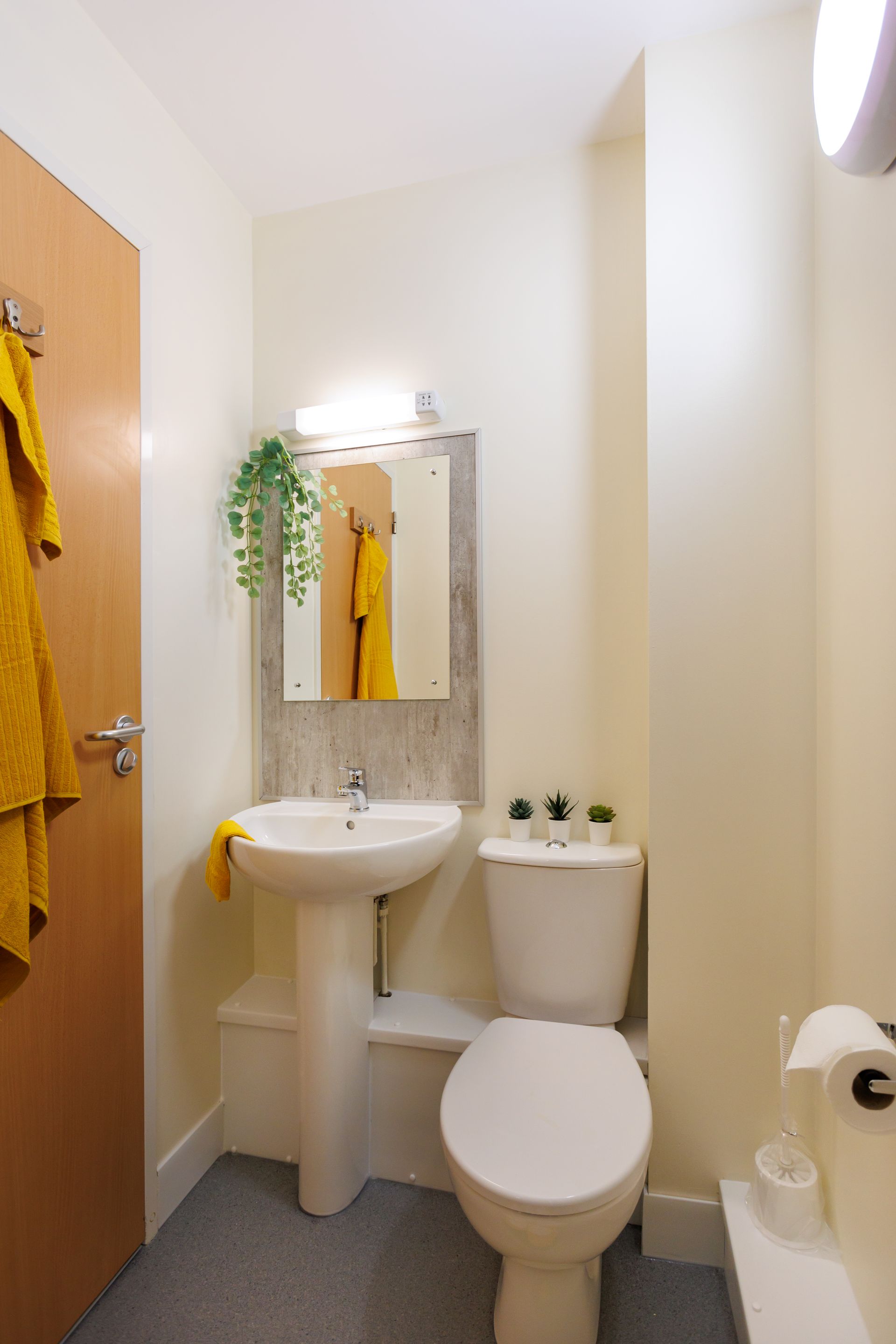 Silver Ensuite - image 15