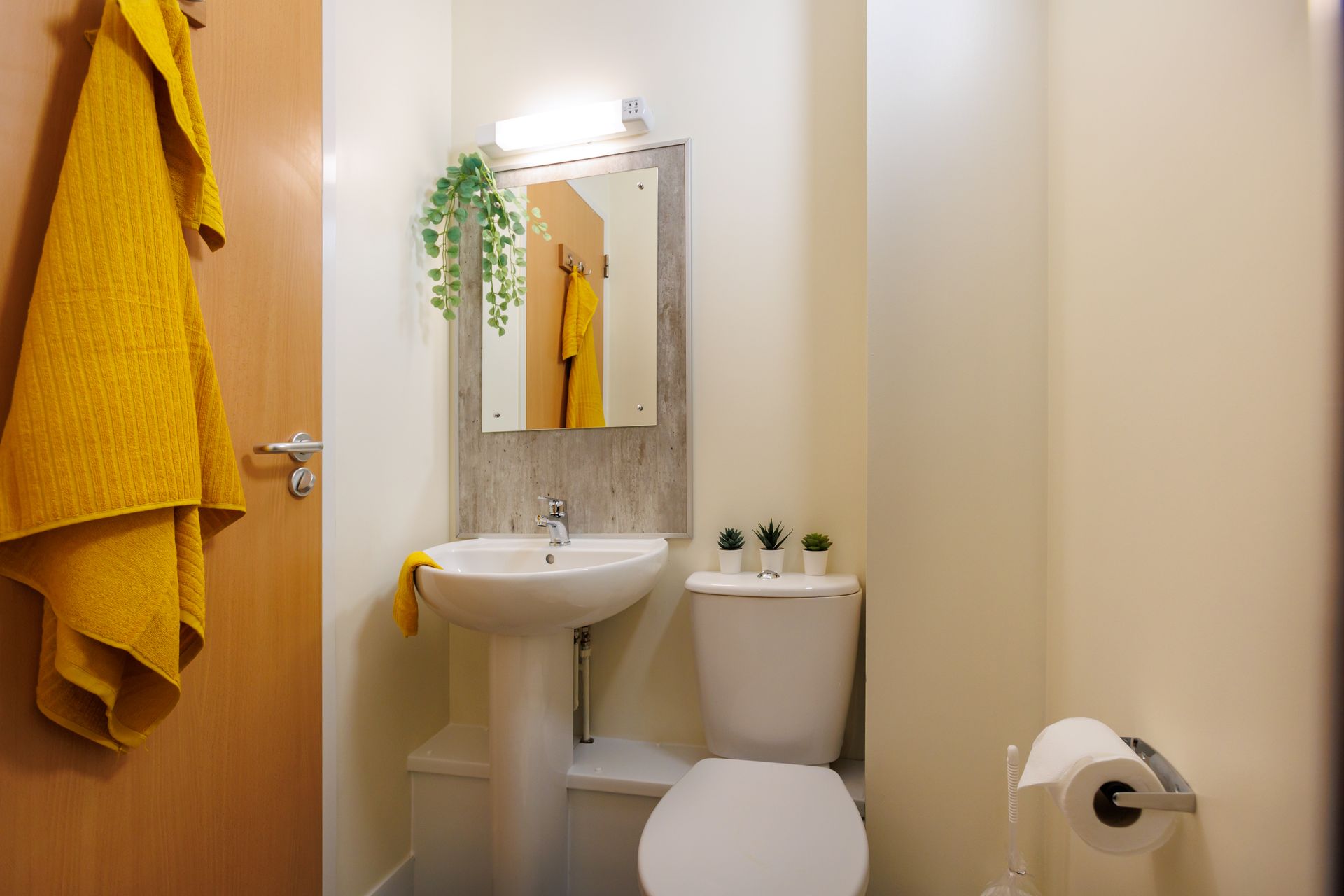 Silver Ensuite - image 14