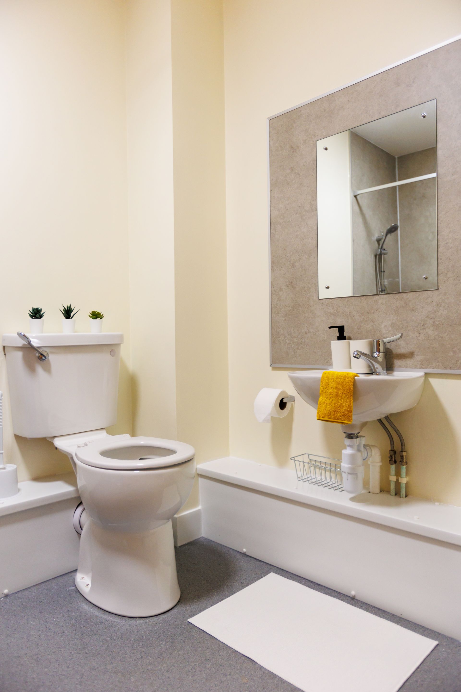 Silver Ensuite - image 16