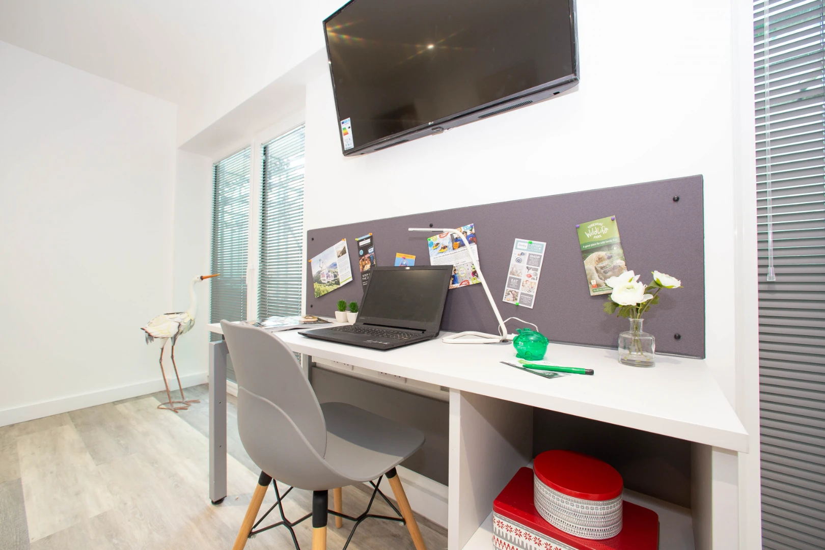Silver Plus Studio - image 7