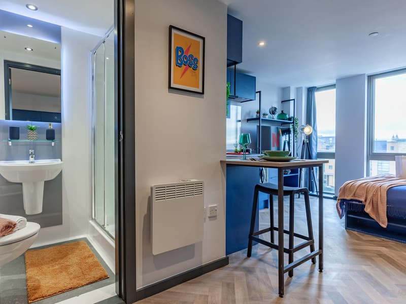 Silver Suite - image 7