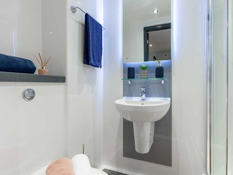 Silver Suite - image 8