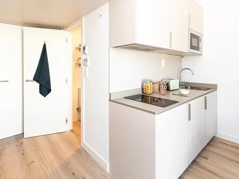 Single Plus with Kitchen & Balcony - image 10