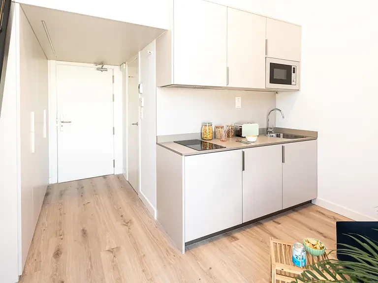 Single Plus with Kitchen & Balcony - image 16