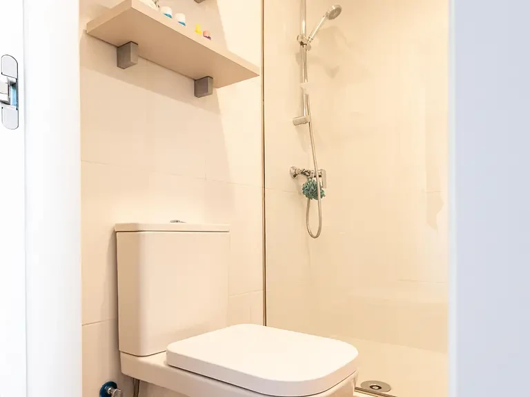 Single Plus with Kitchen - image 10