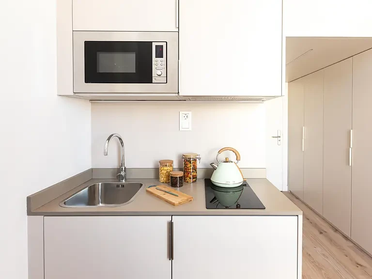 Single with Kitchen & Terrace - image 9