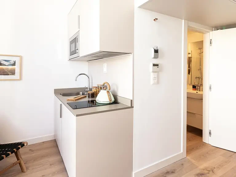 Single with Kitchen & Terrace - image 7