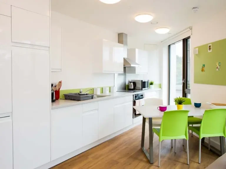 Standard Ensuite (5 Bed) - image 7