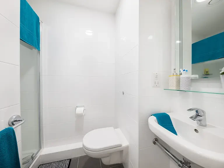 Standard Ensuite (5 Bed) - image 8