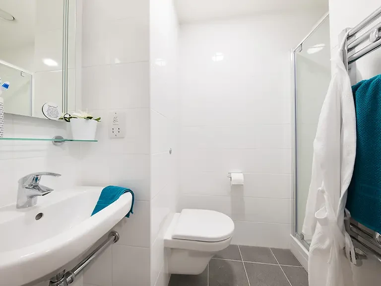 Standard Ensuite (5 Bed) - image 9