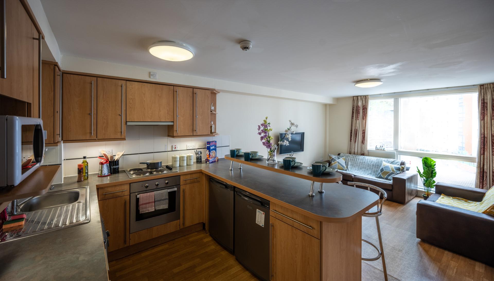 Standard Ensuite ( within a 4 bed flat ) - image 7