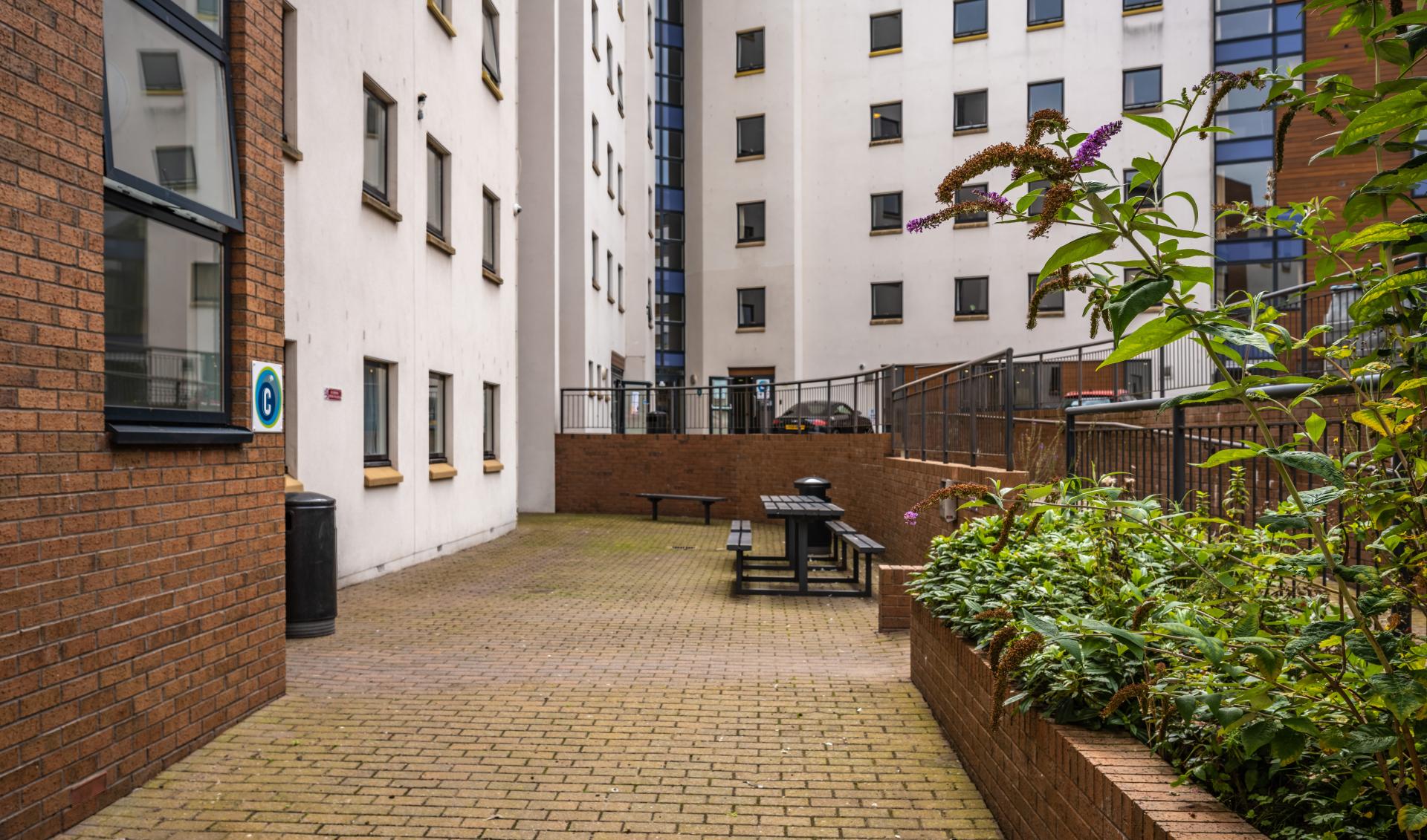 Standard Ensuite ( within a 4 bed flat ) - image 11