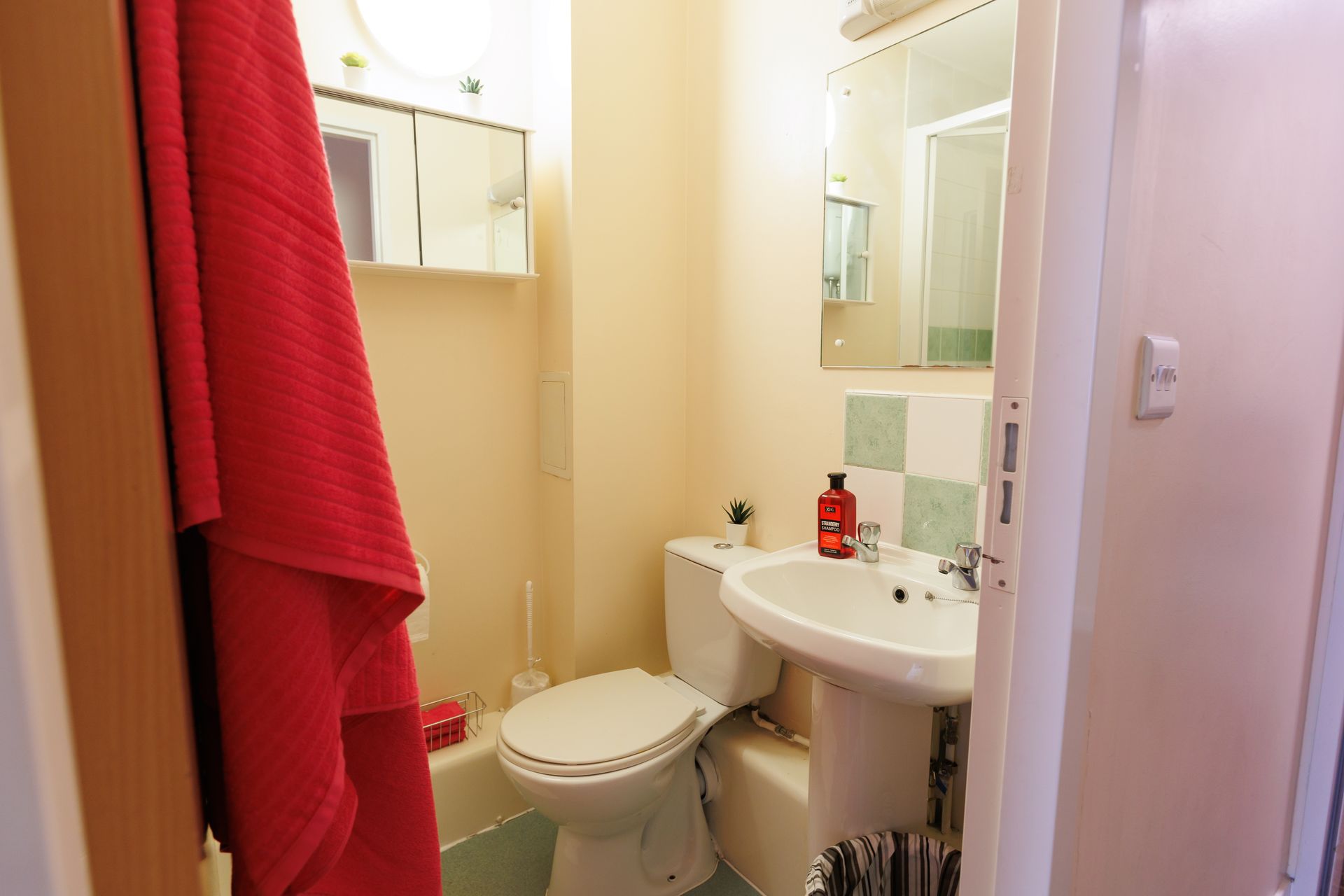 Bronze Ensuite - image 15