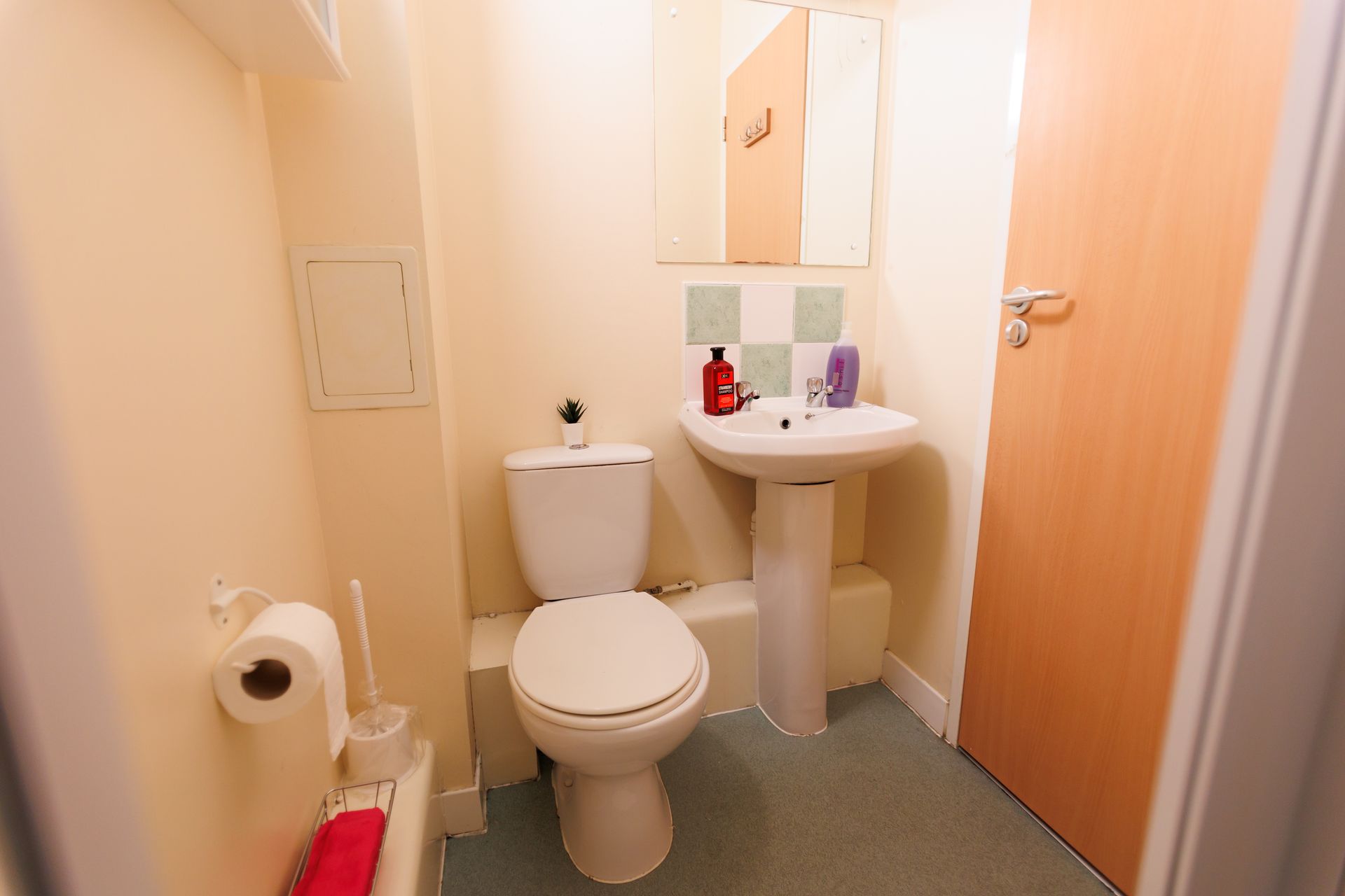 Bronze Ensuite - image 16