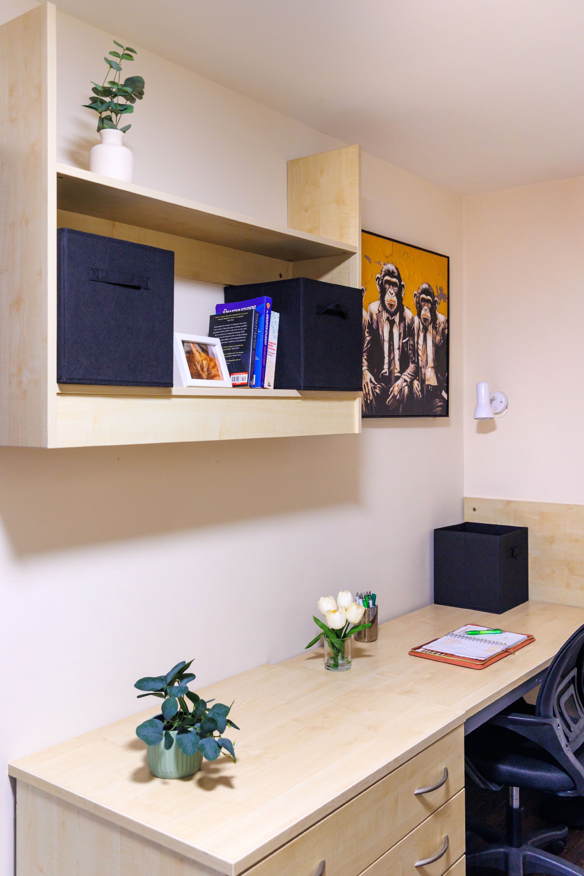 Bronze Standard Non Ensuite - image 9