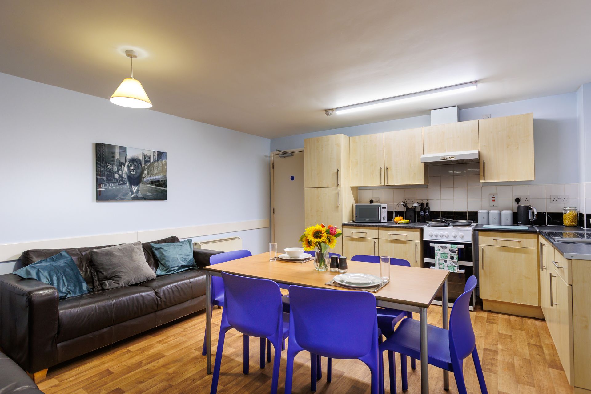 Essential Single Non Ensuite - image 7