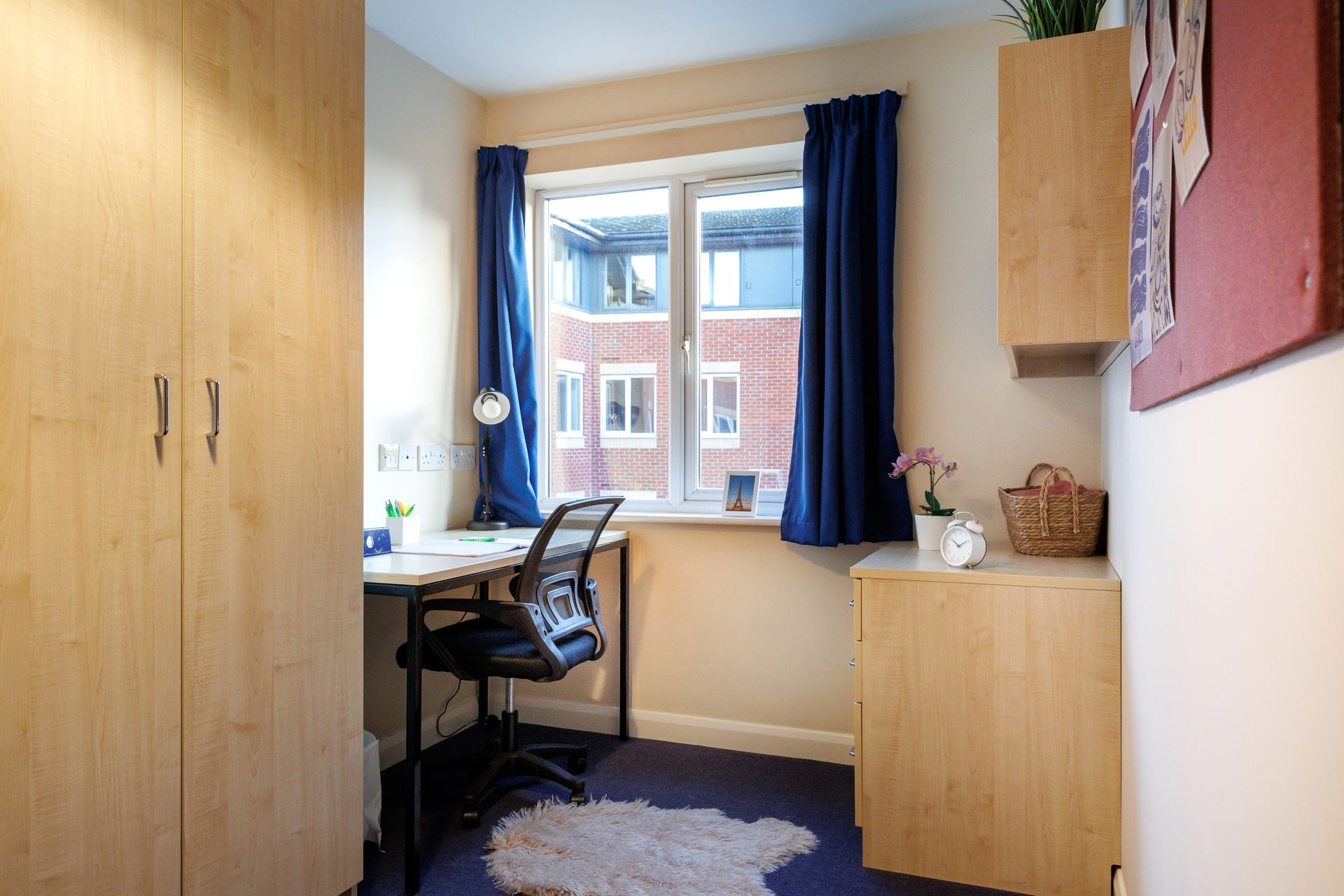 Essential Single Non Ensuite - image 13