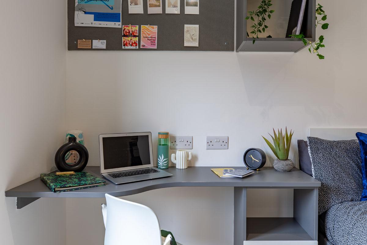 Standard Studio - image 7