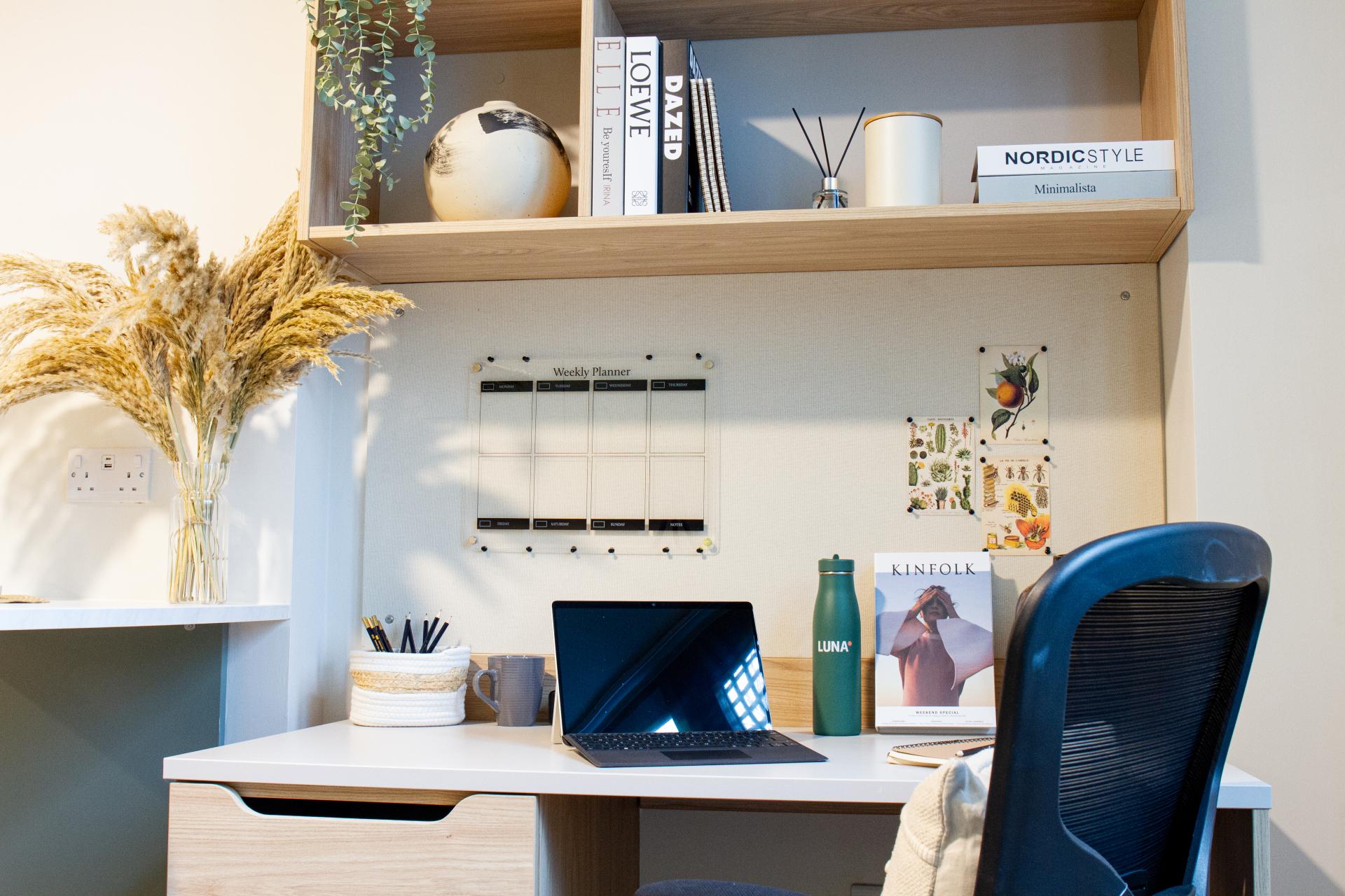 Standard Studio - image 7