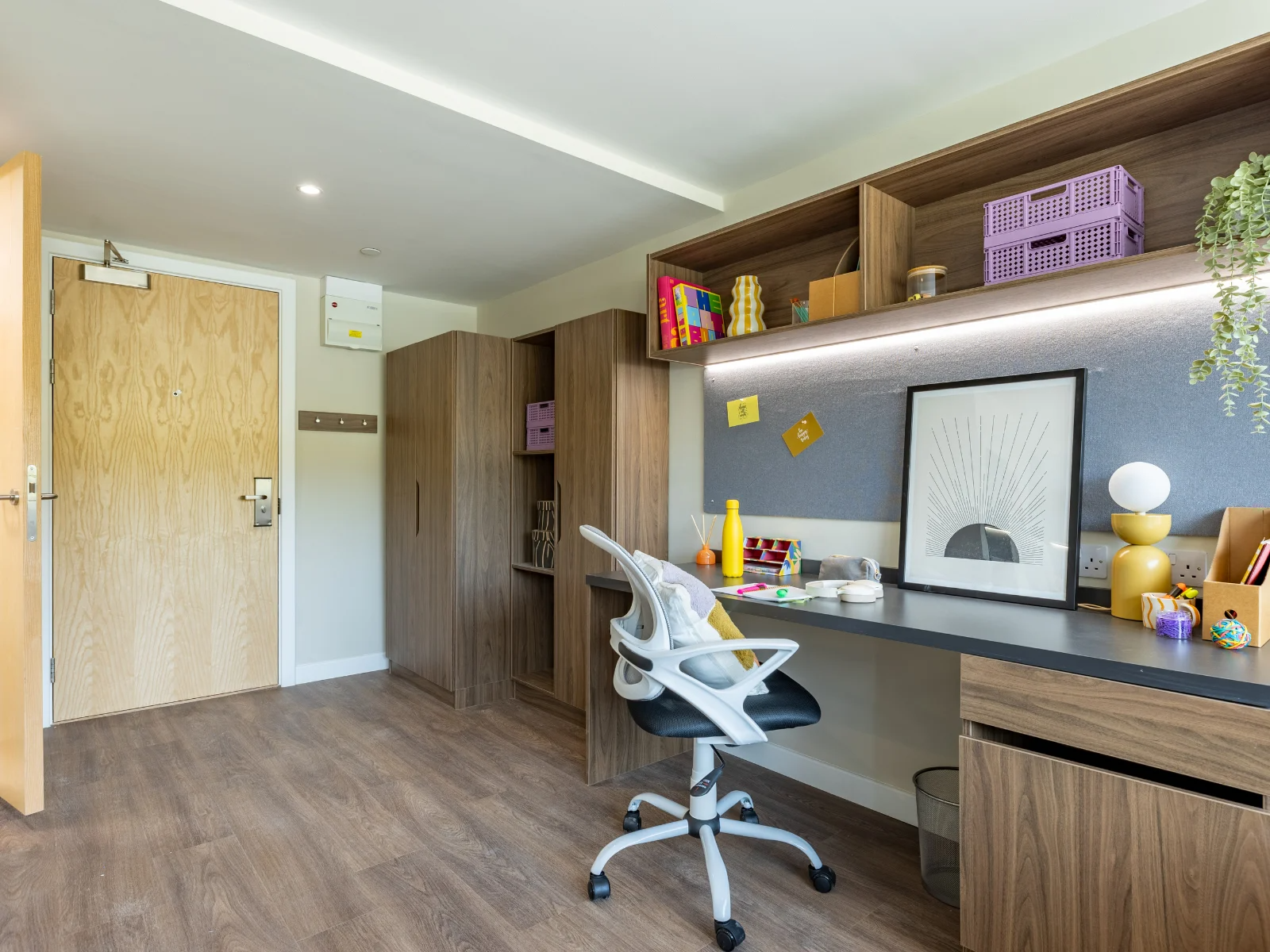Standard Studio - image 16