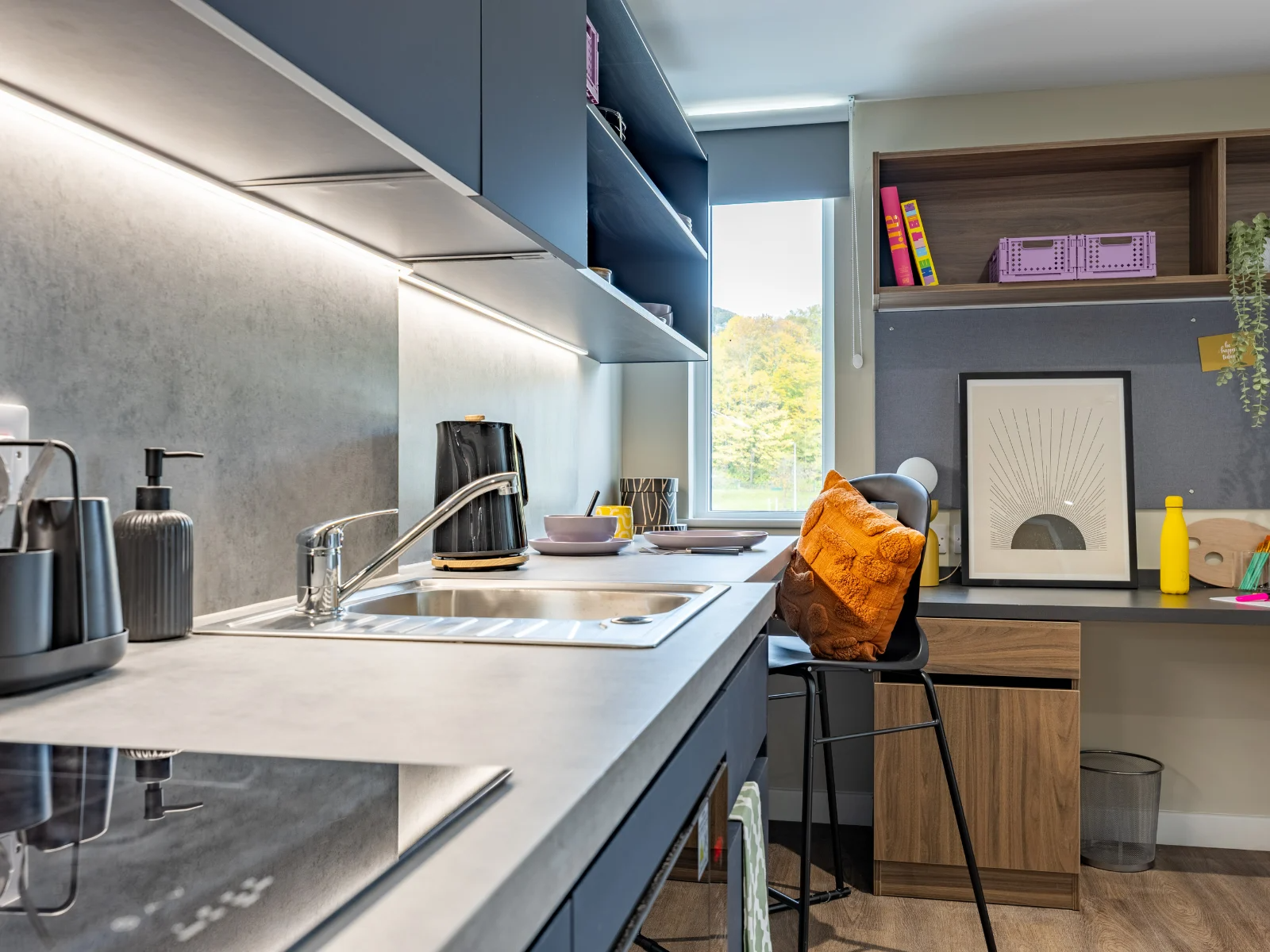 Standard Studio - image 17