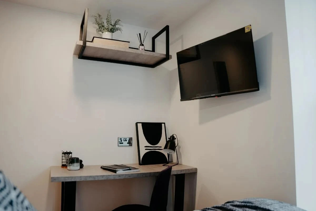 Studio Edition 4 - image 7