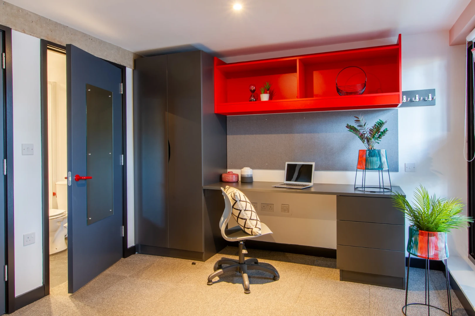 The Biggest Room - image 7