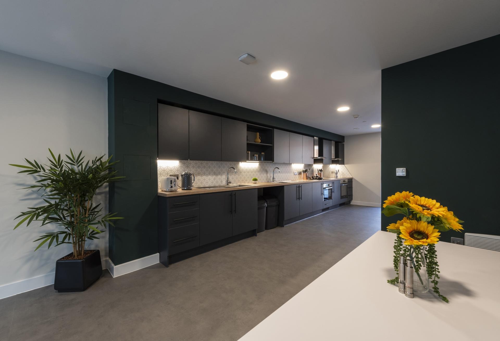 Townhouse Standard - image 7