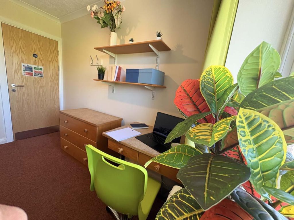 Two Bedroom Apartment - image 10