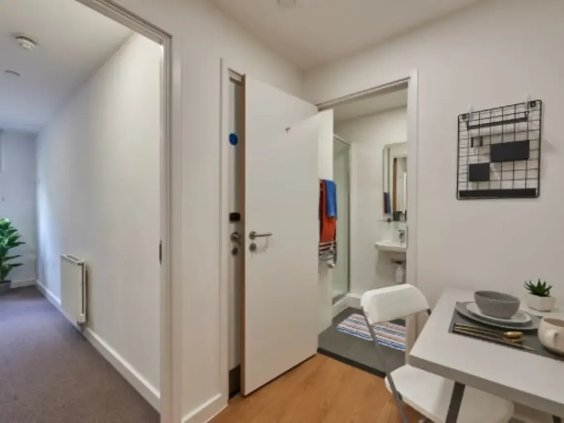2 Bed Apartment - image 7
