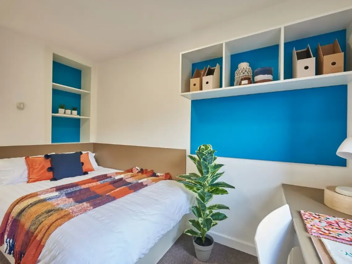 2 Bed Apartment - image 8