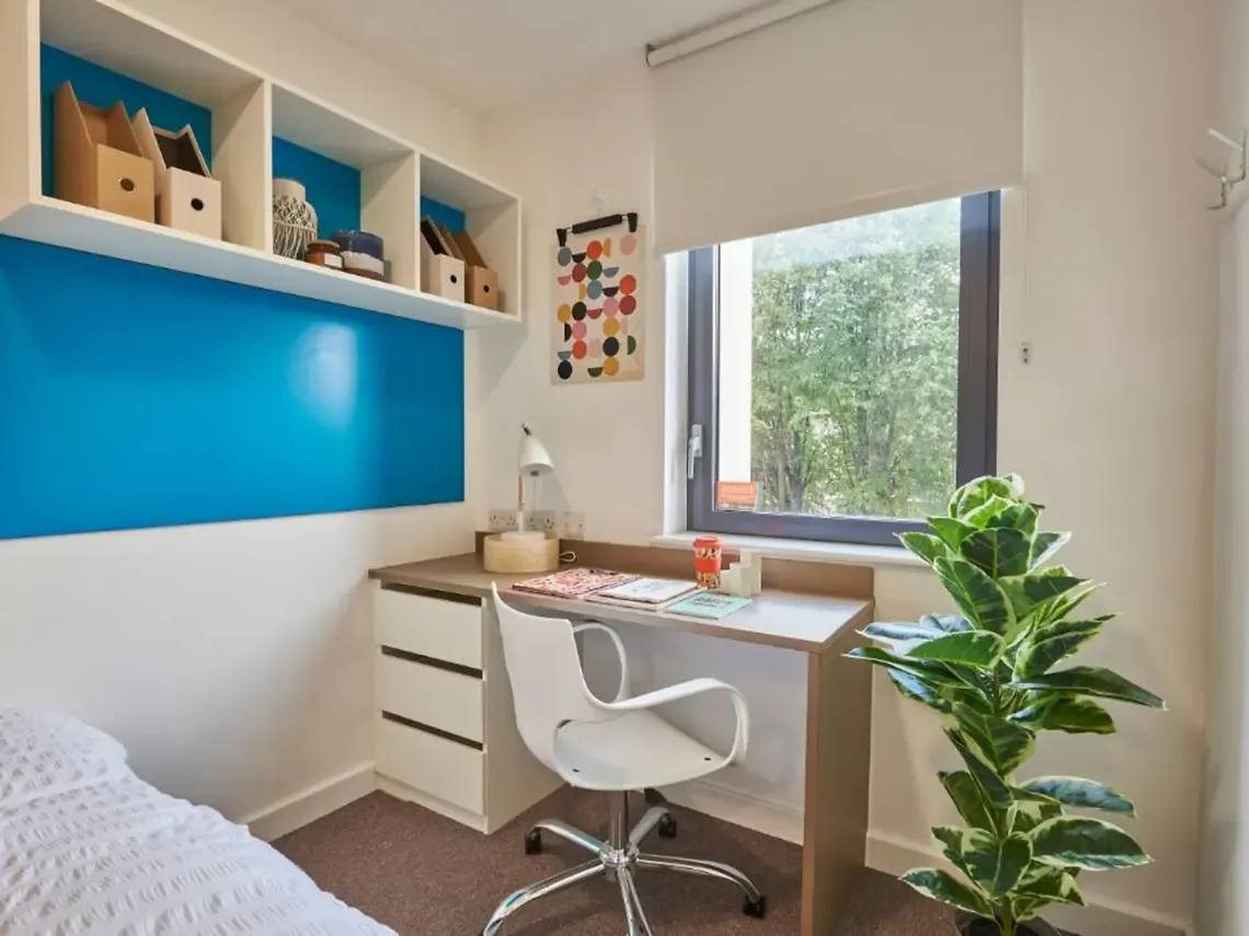 2 Bed Apartment - image 9