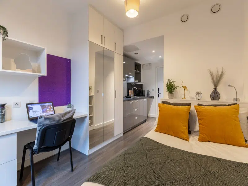 88 Bromsgrove House, Birmingham photo 4