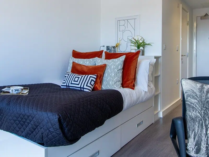 88 Bromsgrove House, Birmingham photo 5