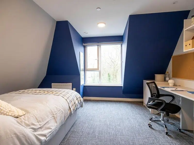 Ash Grove Court, Guildford photo 3
