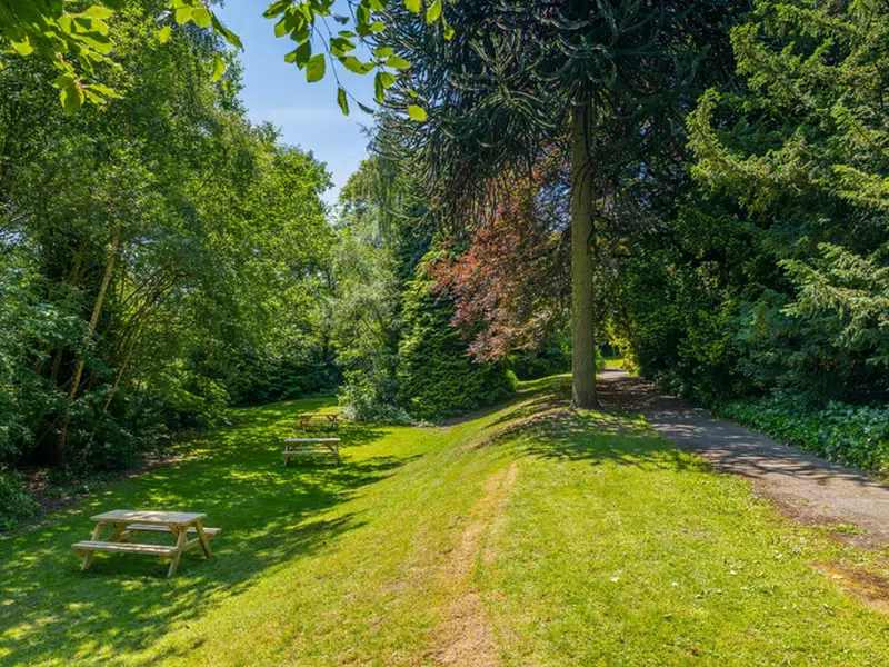 Beech Gardens, Birmingham photo 11