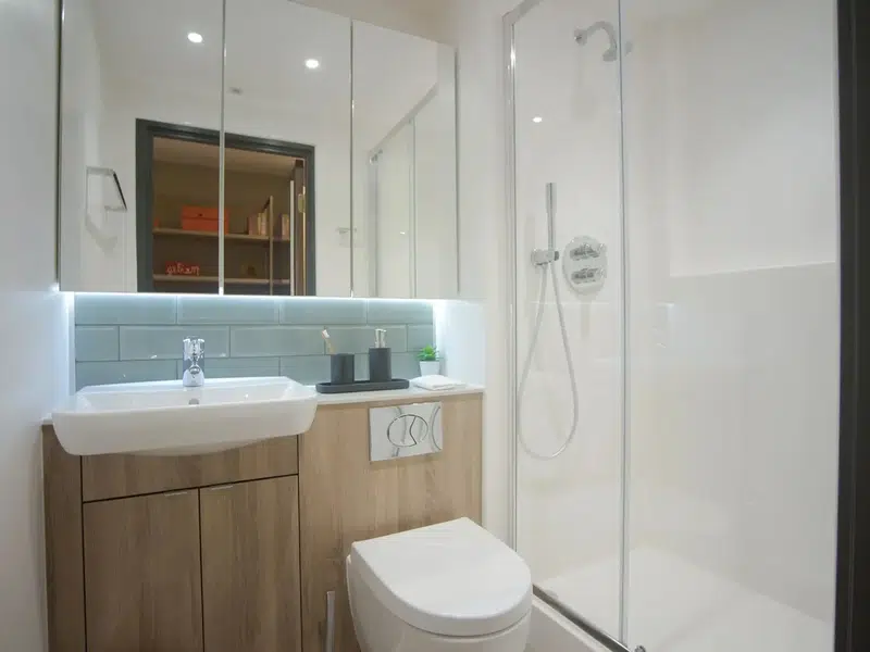 Beechenhurst House, Birmingham photo 11