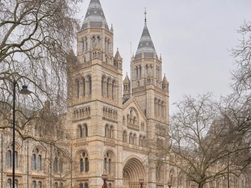 Fifty One London photo 10