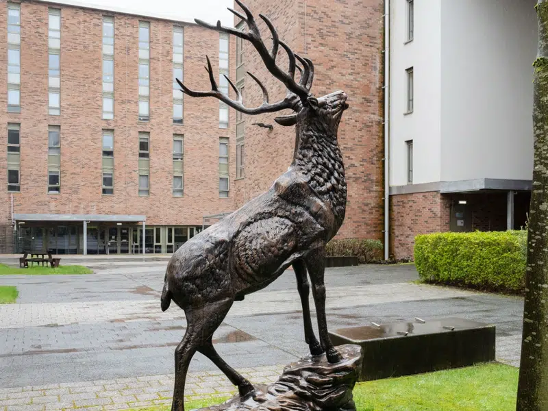 Foundry Courtyard, Glasgow photo 17