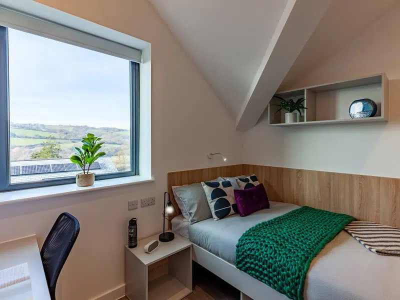 Hill View Place, Exeter photo 3