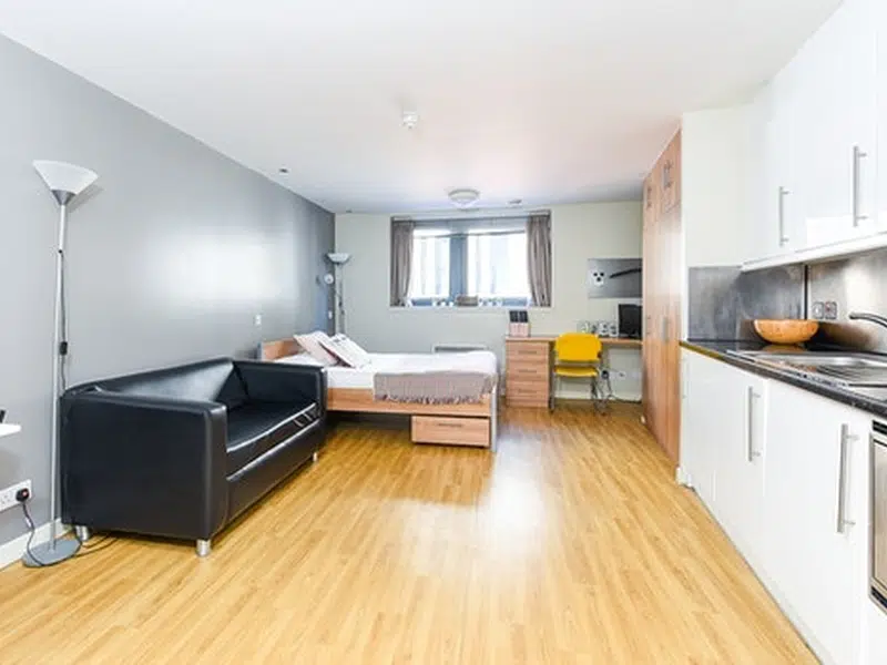 Lady Nicolson Court, Edinburgh photo 2