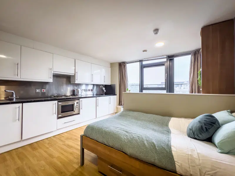 Lady Nicolson Court, Edinburgh photo 4