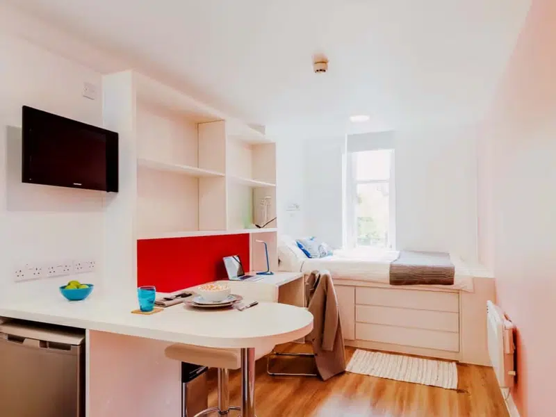 Tamarillo House, Bristol photo 7