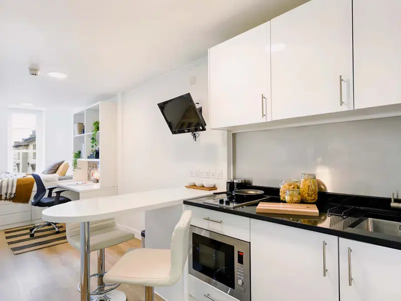 Tamarillo House, Bristol photo 8