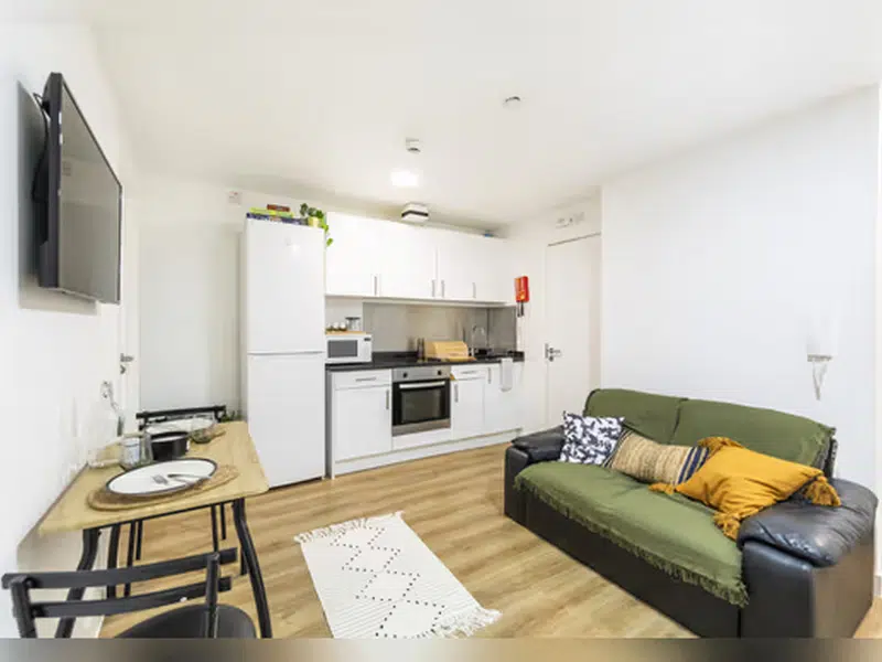 Tamarillo House, Bristol photo 19
