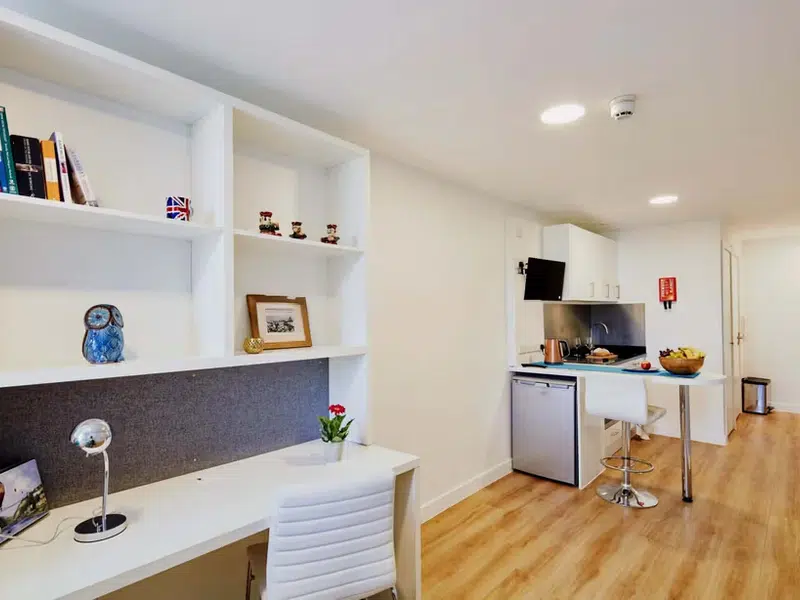 Tamarillo House, Bristol photo 6