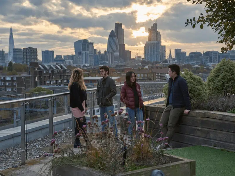 The Hive, London photo 16